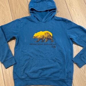 The North Face Boys Hooded Bear Sweatshirt Size XL Spellout Logo Gorpcore Hike
